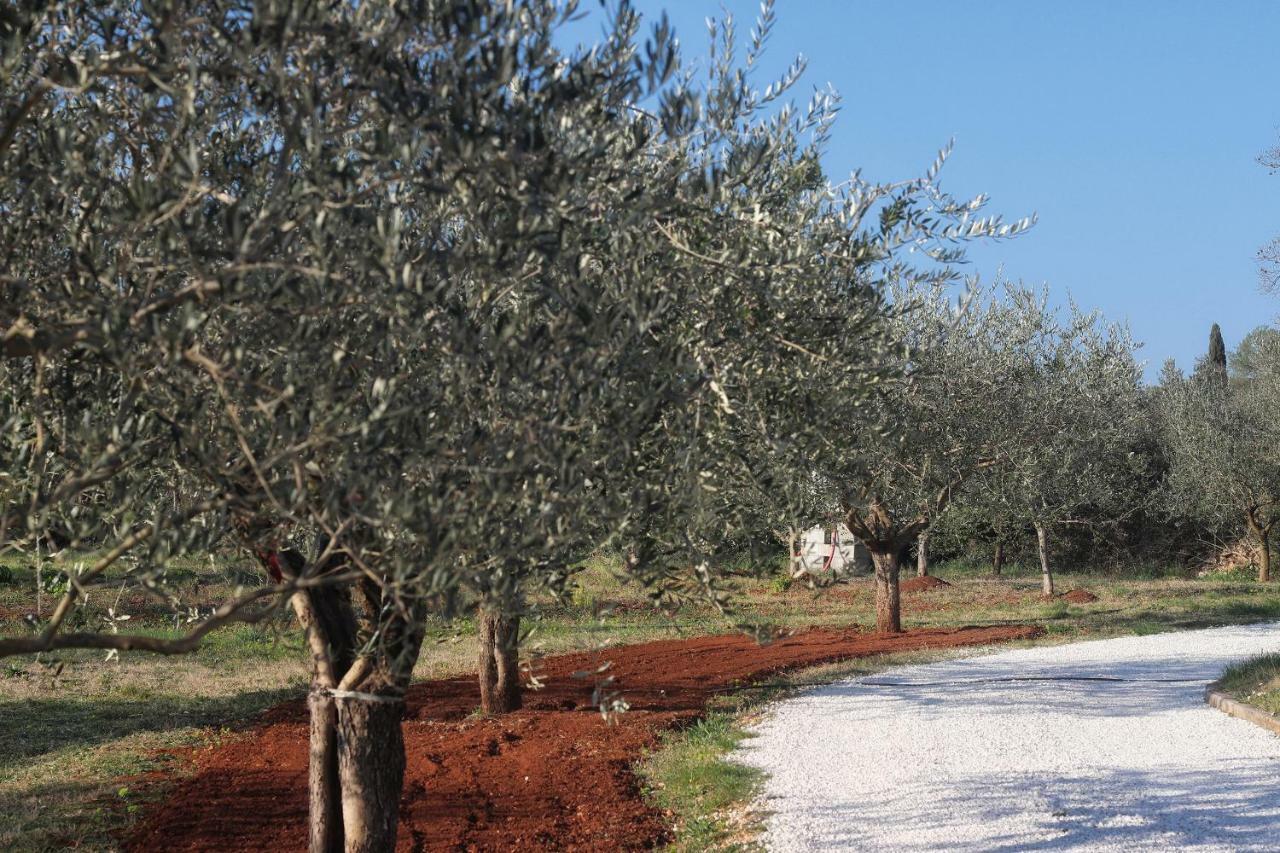 فيلا Casa Vesna روفينج المظهر الخارجي الصورة